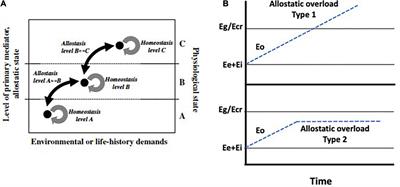 Allostasis revisited: A perception, variation, and risk framework